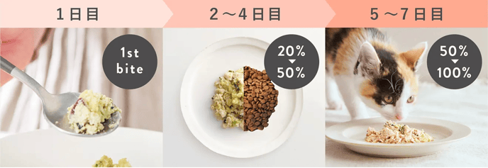 スクリーンショット 2023-06-30 13.24.36